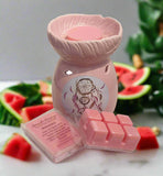 Watermelon Soy Wax Clam Melt