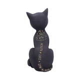 Fortune Kitty – Palmistry Cat | Cat Lovers | Divination