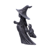 Statue of a witch with a cat on a white background