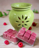 two soy wax clam melts next to a green oil burner
