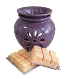 Brazilian Summer Soy Wax Clam Melt
