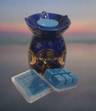 Moon Lake Musk Soy Wax Clam Melt