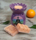 Orange Vanilla Soy Wax Clam Melt