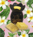 Wild Frangipani Soy Wax Clam Melt