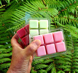 A hand holding a square-shaped soy wax melt with a green and pink color, with more wax melts in clear packaging behind it, set against a backdrop of green ferns.