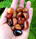 Carnelian Tumbled Stones