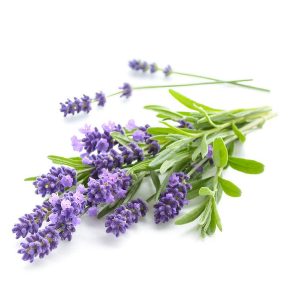 Wholesale Essential Oils