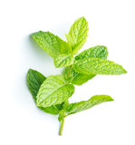 PEPPERMINT ESSENTIAL OIL