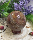 Petrified Wood Sphere 6.5cm