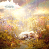 Child lying in a field with a rainbow and glowing lights, surrounded by nature.