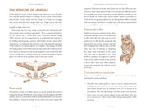 Crystal Shamanism