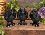 Three Wise Ravens – See No, Hear No, Speak No