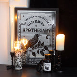 Raven Claw Taper Candle Holder | Gothic Decor | Witchcraft