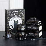 Decorative books with cat-themed illustrations and a black cat figurine on a dark surface.