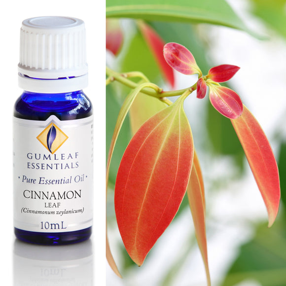 Bottle of Gumleaf Essentials Cinnamon Leaf essential oil with cinnamon leaves in the background
