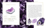 Amethyst crystal with information card on a purple background