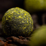 Close-up of a green and black textured object on a dark background