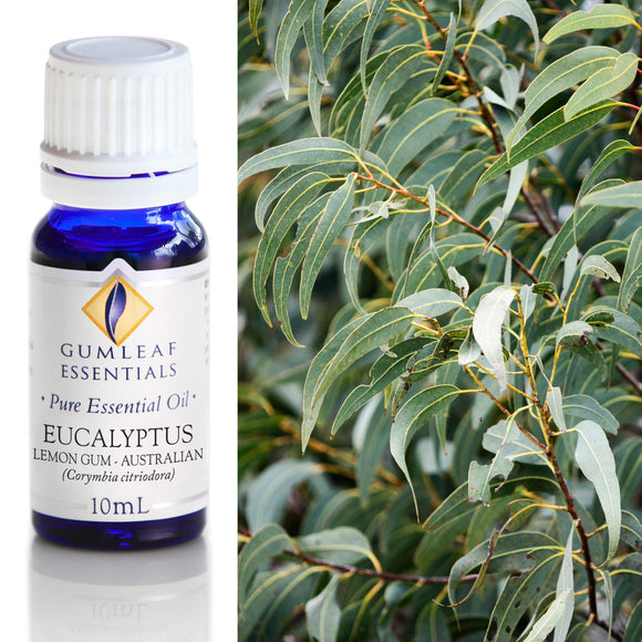 Bottle of Gumleaf Essentials Eucalyptus essential oil with eucalyptus leaves on a blurred background