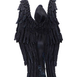 Black angel costume with detailed wings on a white background