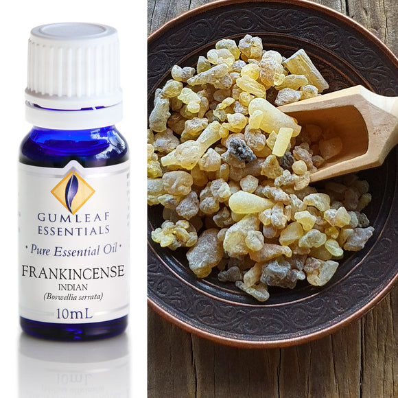 Bottle of Gumleaf Essentials Frankincense essential oil next to a bowl of frankincense resin.
