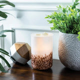 Tiger Shell Glass Illumination Wax/Oil Warmer