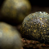 Close-up of a textured, dark brown stone with a blurred background