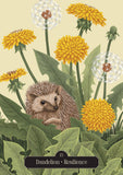 Illustration of a hedgehog among dandelions with text 'Dandelion - Resilience' on a beige background