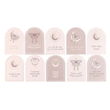 Luna Moth Affirmation Cards with Wooden Stand | Spiritual Gift | Daily Inspiration