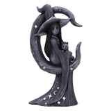 Statue of a witch with a cat on a white background