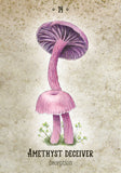 Illustration of a pink mushroom with a purple cap on a textured beige background.