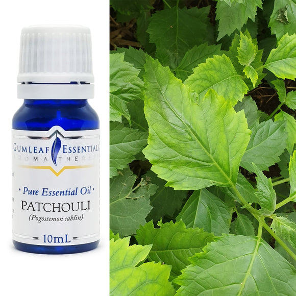 Gumleaf Essentials Patchouli essential oil bottle with a close-up of patchouli leaves.