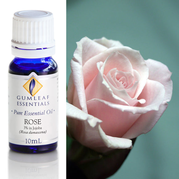 Bottle of Gumleaf Essentials Rose essential oil with a close-up of a pink rose.
