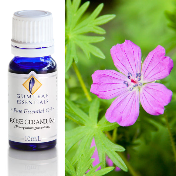Bottle of Gumleaf Essentials Rose Geranium essential oil with a close-up of a pink flower.