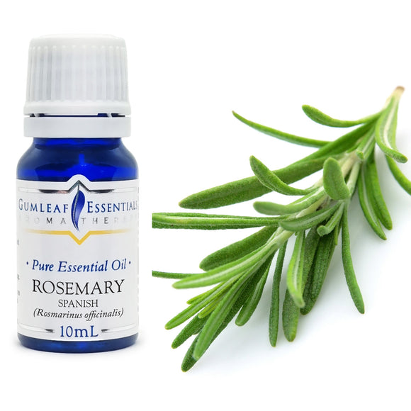 Bottle of Gumleaf Essentials Rosemary essential oil with a sprig of rosemary on a white background