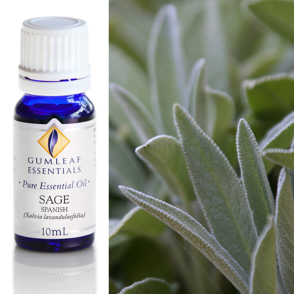Sage Spanish Essential Oil - 10ml
