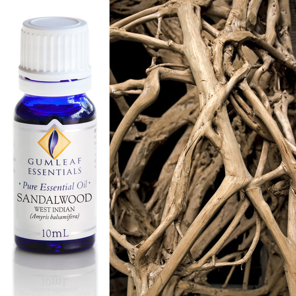 Bottle of Gumleaf Essentials Sandalwood essential oil with a background of intertwined branches.