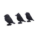 Three black bird figurines on a white background