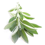 WHITE SAGE ESSENTIAL OIL