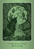 Illustration of a woman sitting under a moonlit sky with the text '17. Madness of Mis Insanity'.