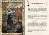 Illustration of a witch in a garden with text on an introduction page.