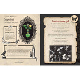 Magical spellbook pages with grapefruit information and a money spell recipe.
