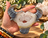 Druzy Agate Bull Skull