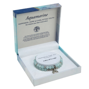 Duo Bracelet Set – Aquamarine Rhodium