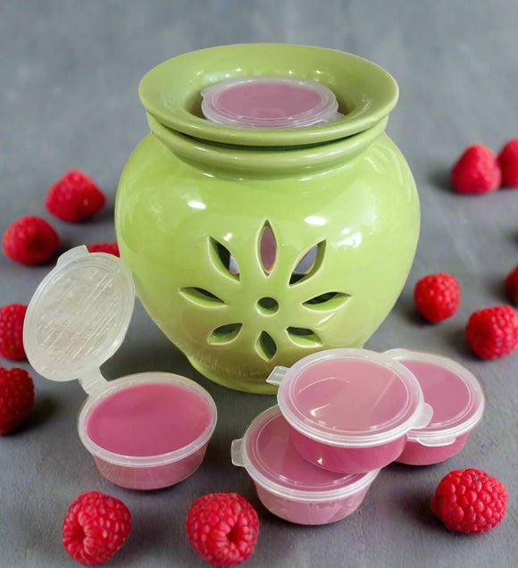 Soy wax pot melts next to a green oil burner