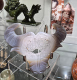 Druzy Agate Bull Skull