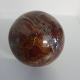 Petrified Wood Sphere 6.5cm